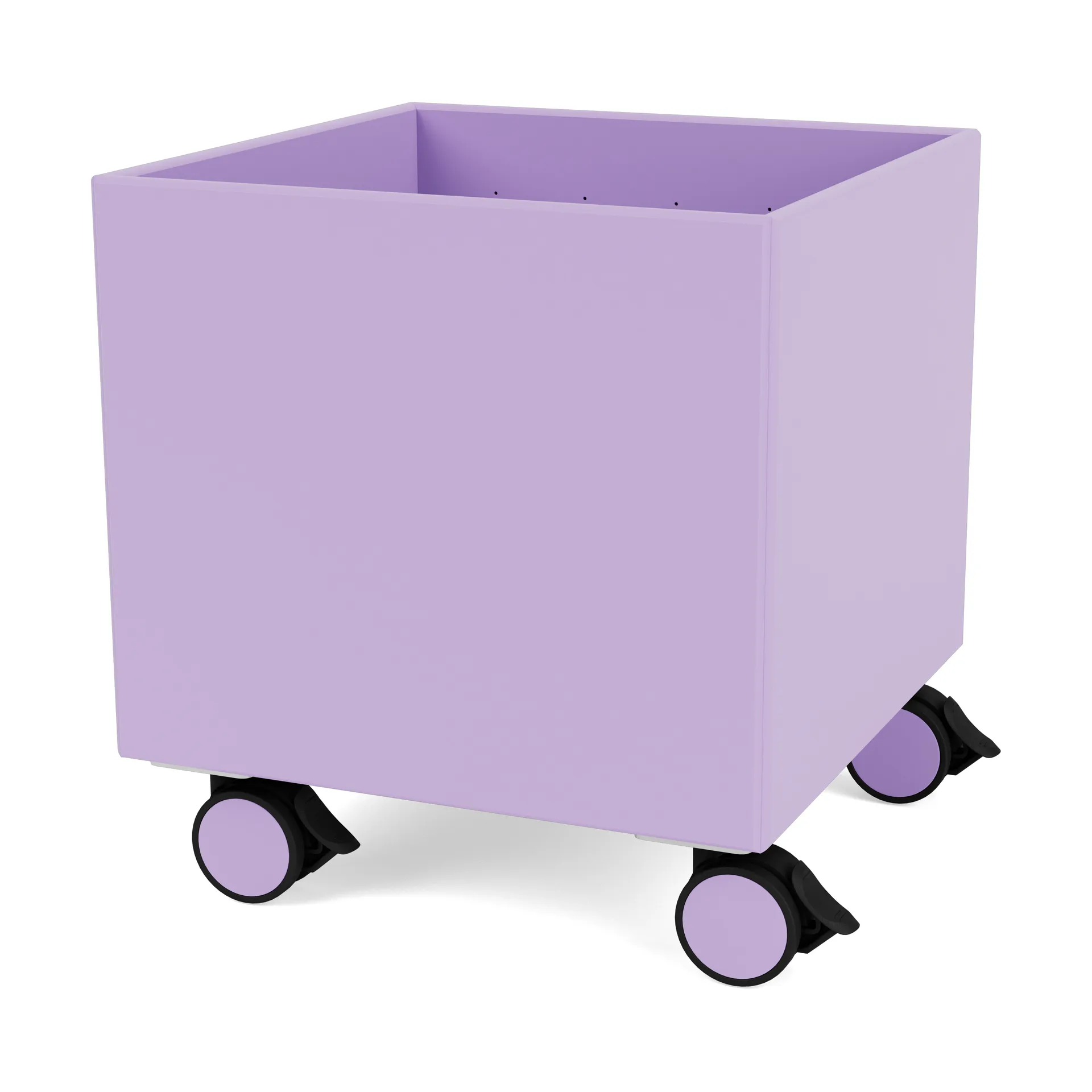 Colour Box I – S6161, Iris Montana