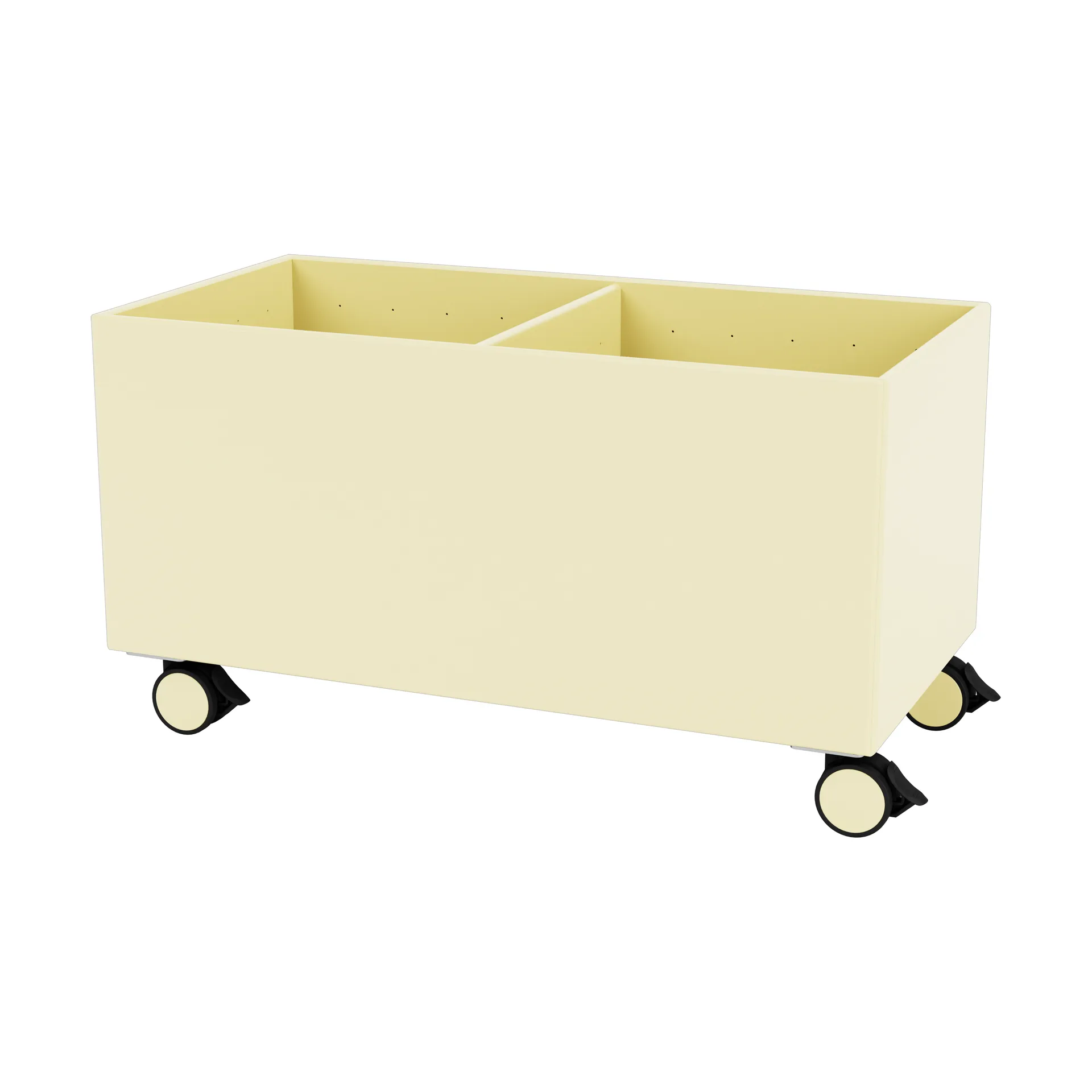 Colour Box II, Camomile Montana