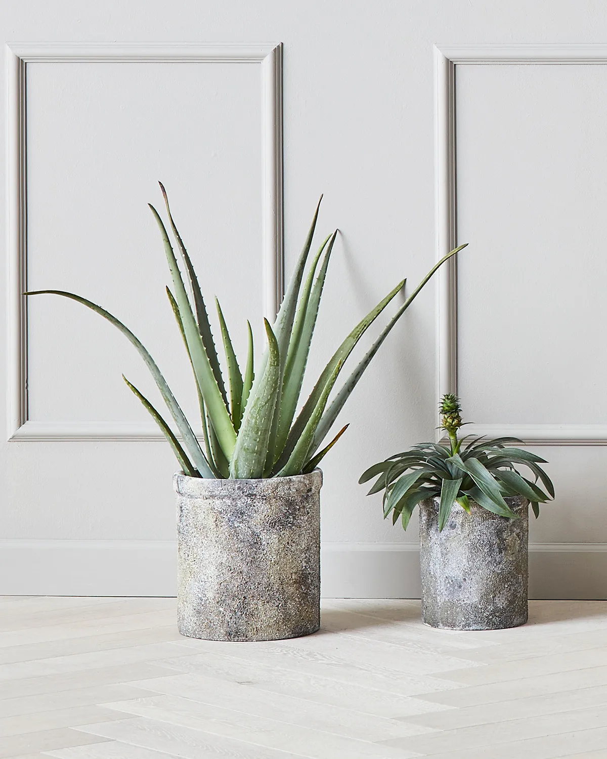 Treasure krukke 2-pak, Ø18 og Ø23 cm MUUBS