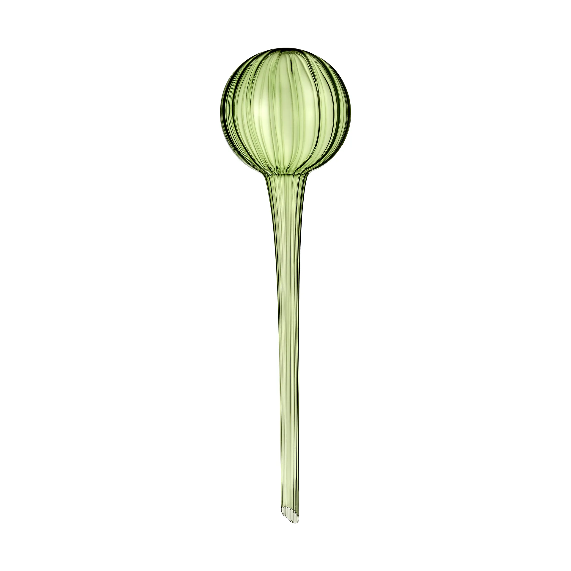 Muurla selvvander 28 cm, Grøn Muurla