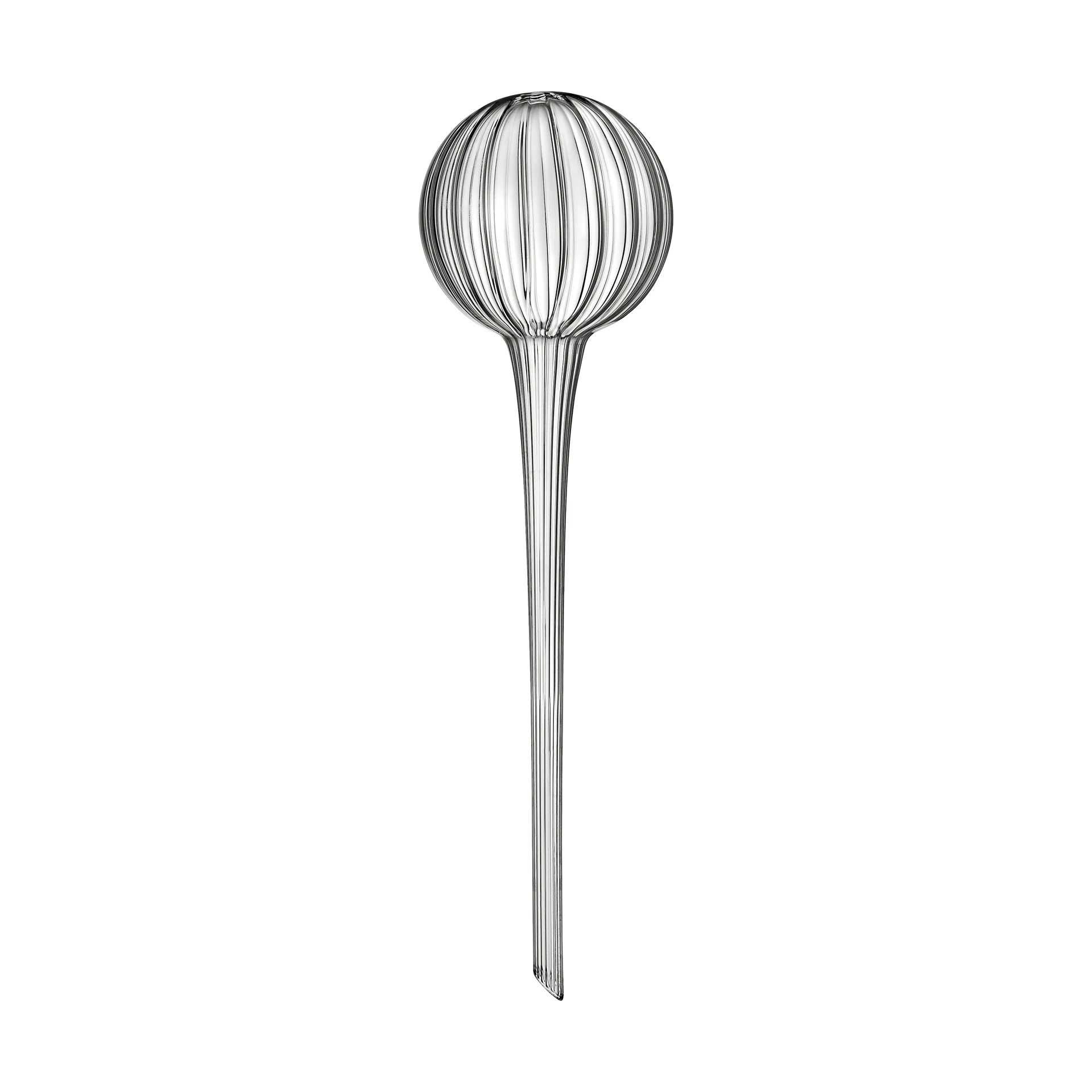 Muurla selvvander 28 cm, klar Muurla