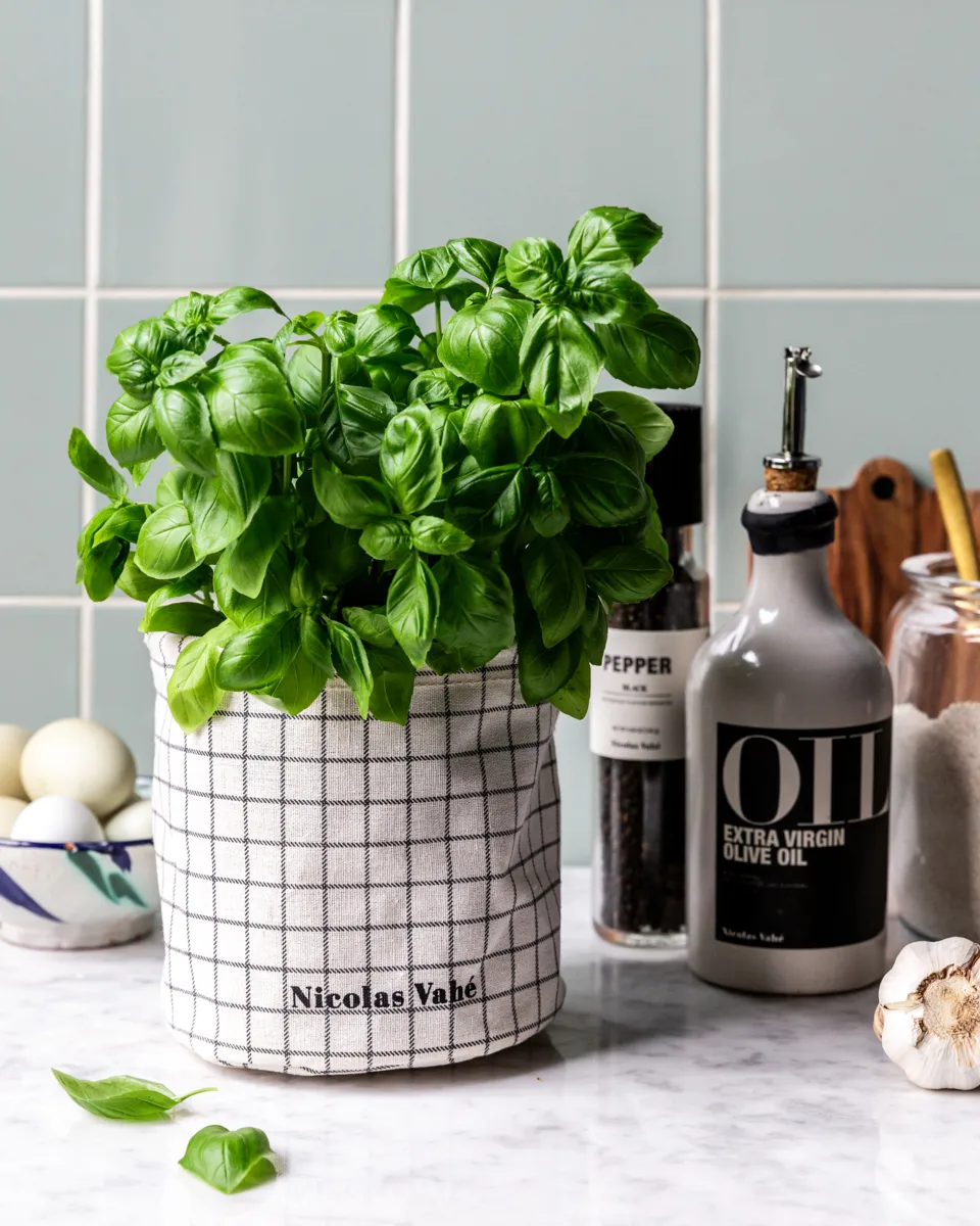 Basket opbevaringskurv, Grå Nicolas Vahé