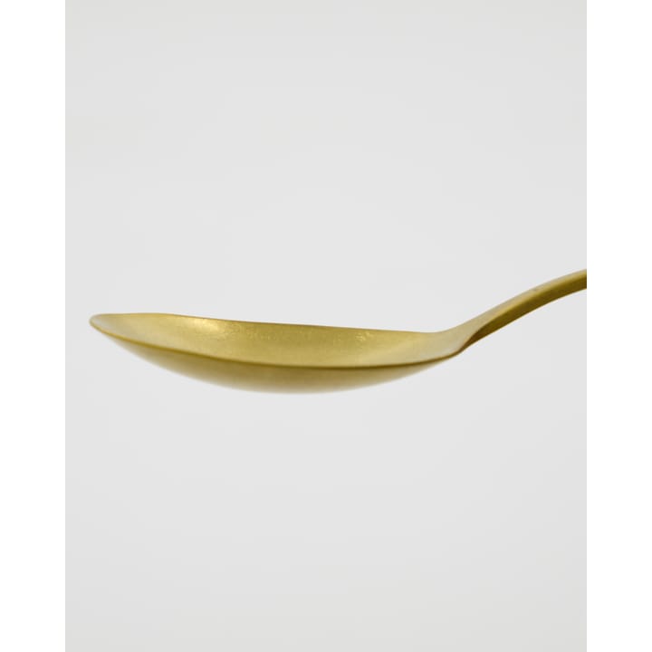 Daily serveringsskeer 2-pak, Guld finish Nicolas Vahé