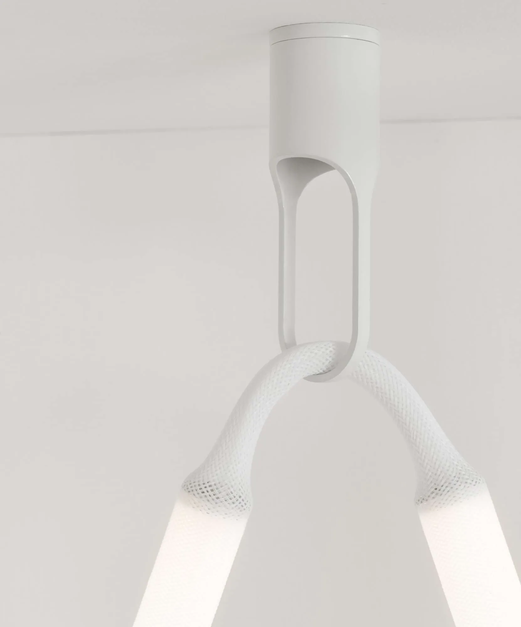 Reb takkrog, White Normann Copenhagen