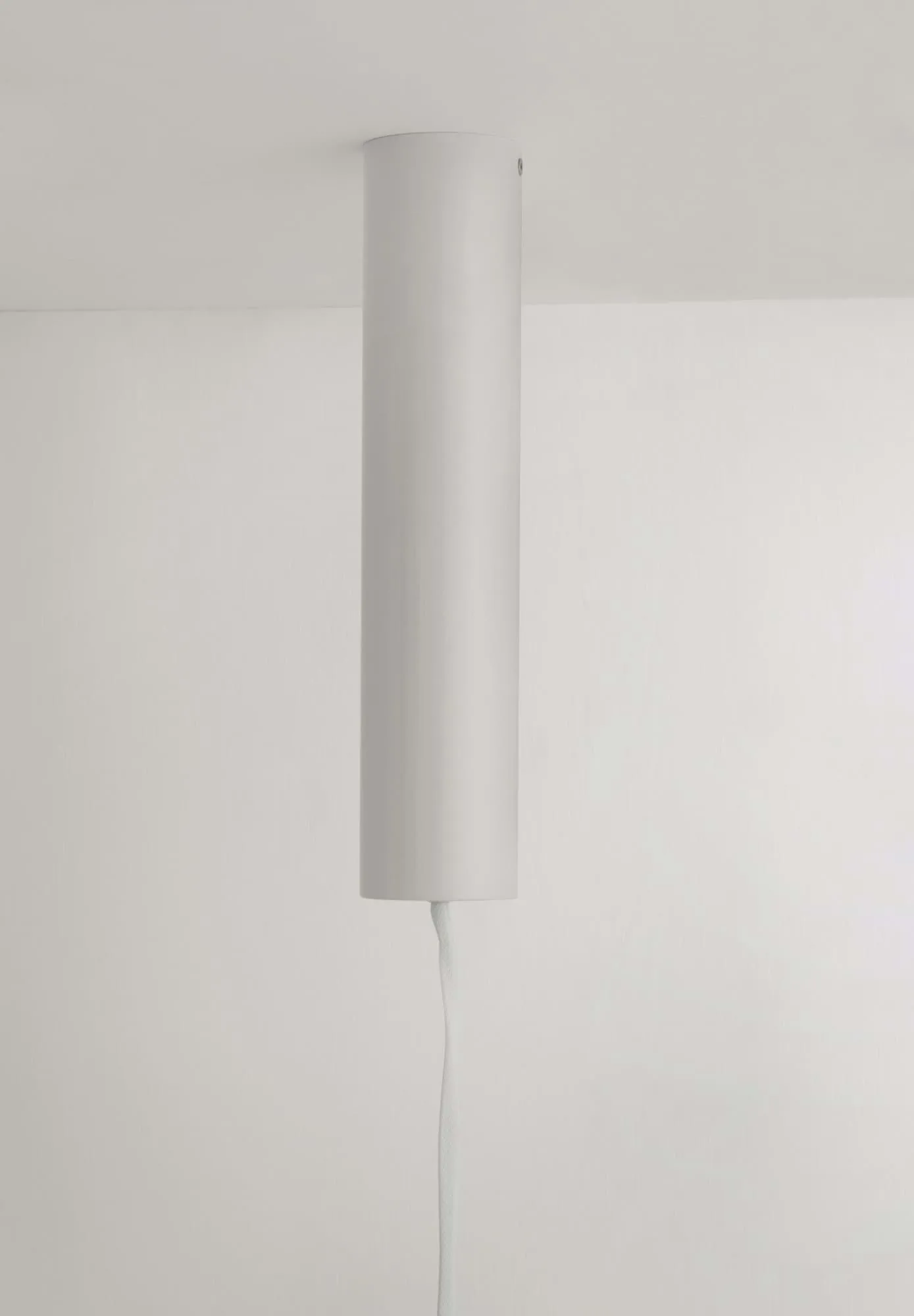 Reb takkrog, White Normann Copenhagen