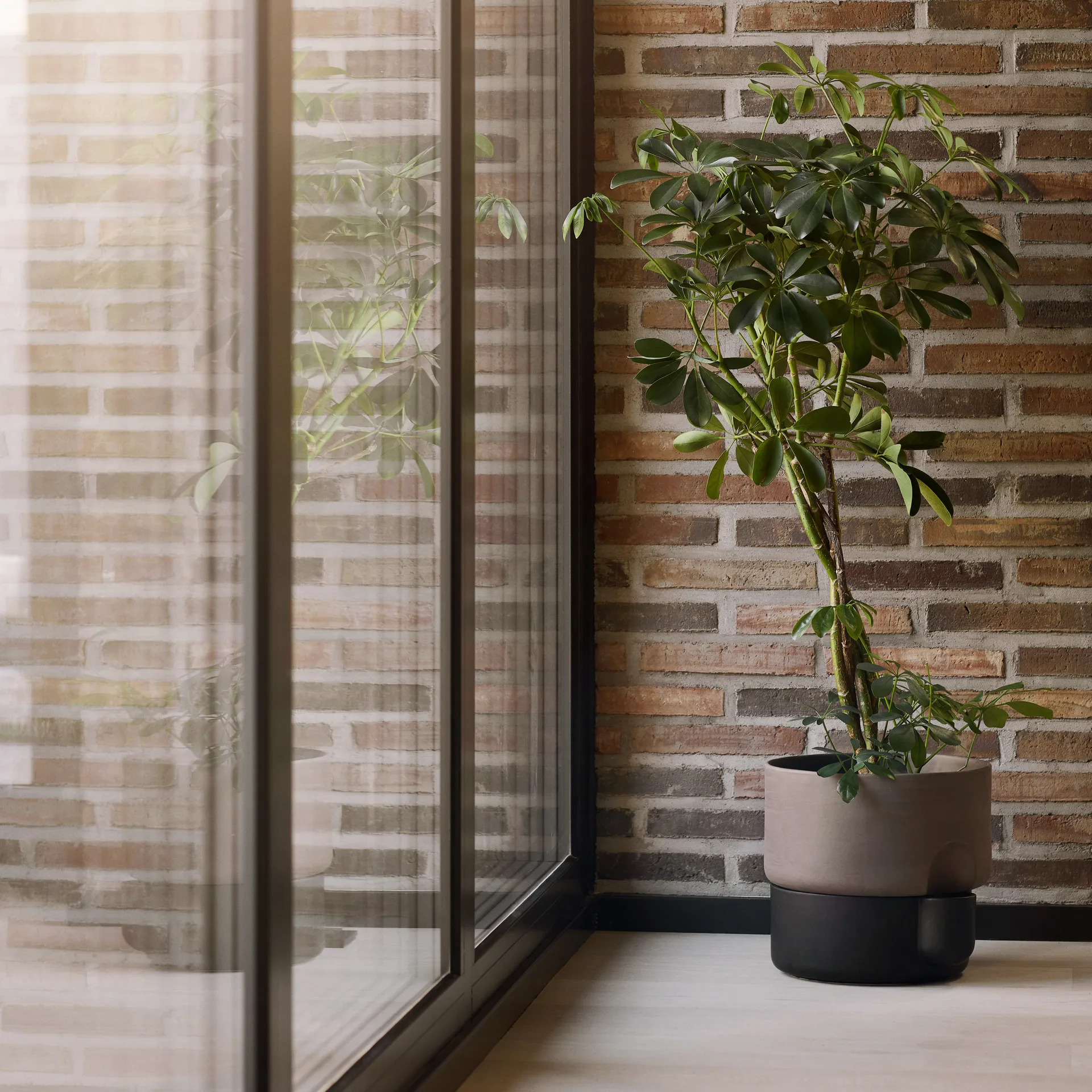 Oasis selvvandende urtepotte stor Ø27.5 cm, Mørkebrun Northern