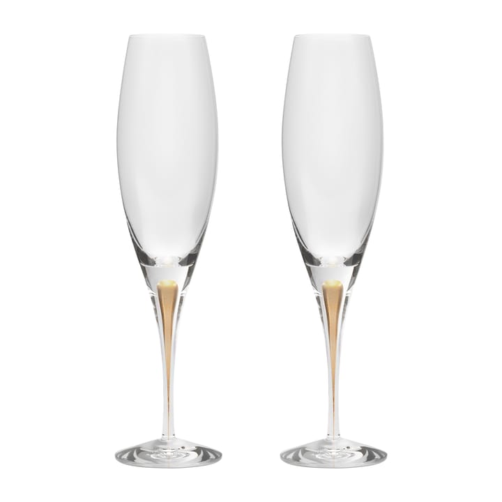 Intermezzo champagneglas 26 cl 2-pak - Guld - Orrefors