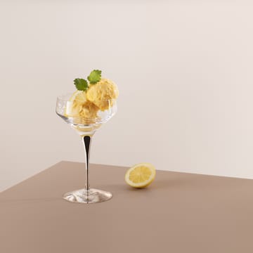 Metropol champagne coupe 24 cl - Sort - Orrefors