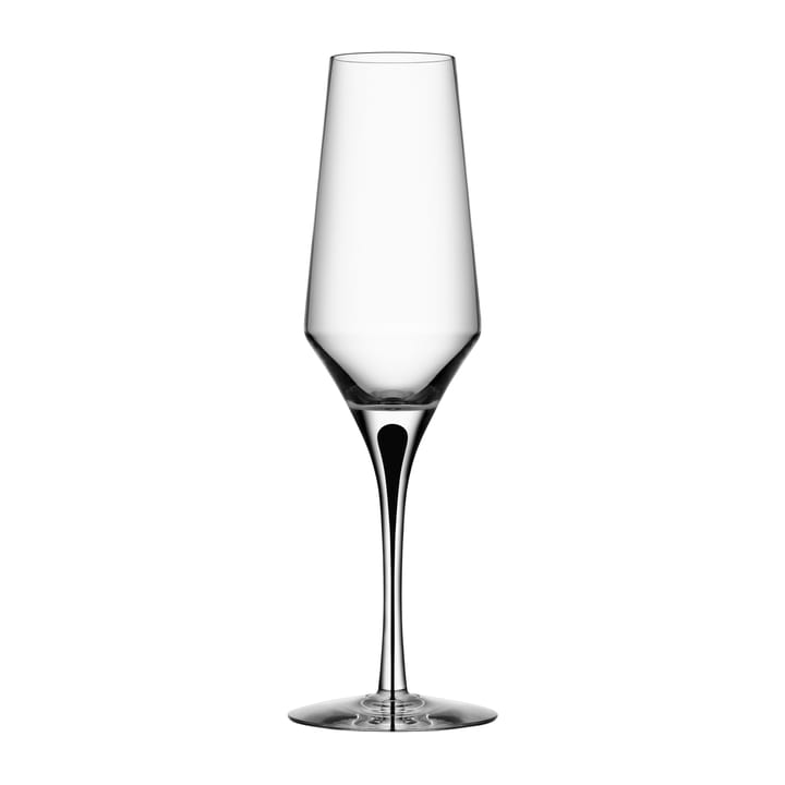 Metropol champagneglas 27 cl - Clear/Black - Orrefors
