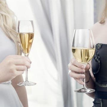 More champagneglas 4 stk - 4 stk - Orrefors