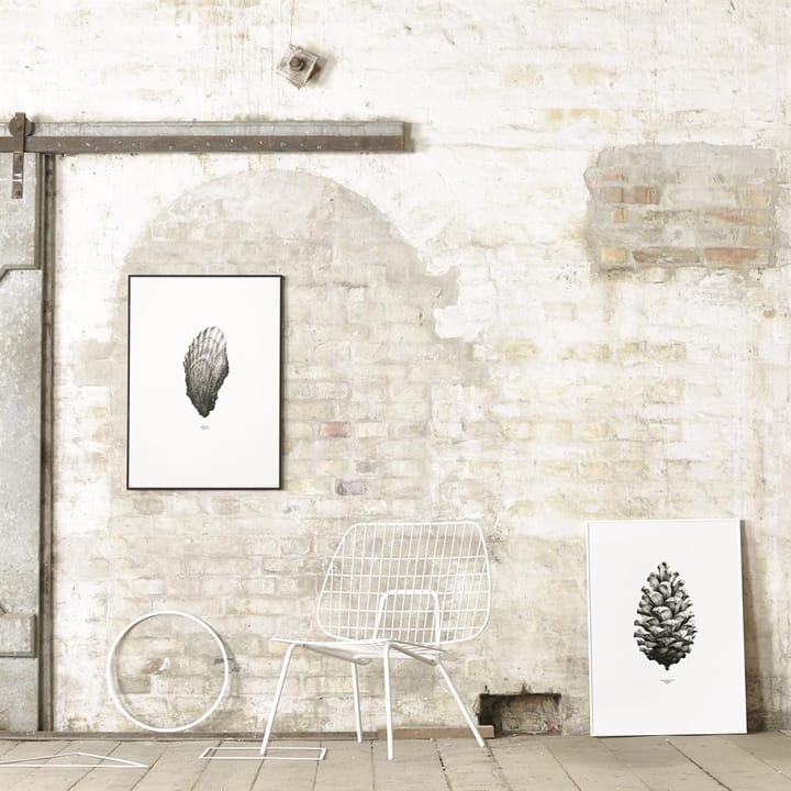 1:1 Pine Cone plakat - hvid, 50 x 70 cm - Paper Collective