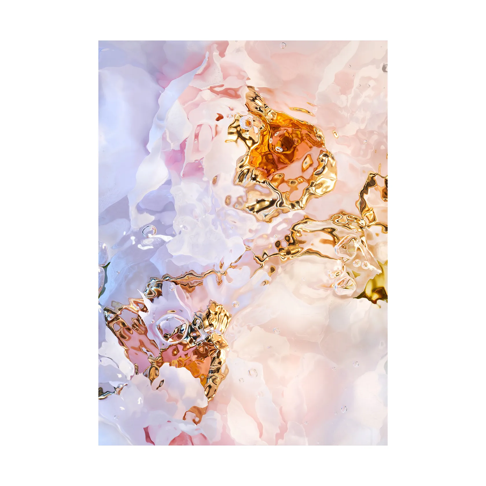 Flora Aquatica 03 plakat, 70x100 cm Paper Collective