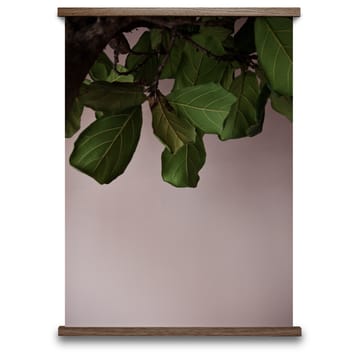 Green Leaves plakat - 50x70 cm - Paper Collective