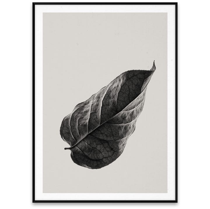 Sabi Leaf 01 plakat - 50x70 cm - Paper Collective