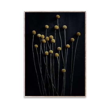 Still Life 01 Yellow Drumsticks plakat - 30x40 cm - Paper Collective