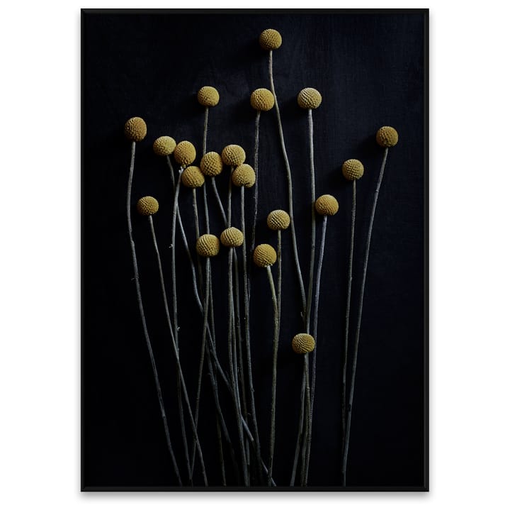 Still Life 01 Yellow Drumsticks plakat - 50x70 cm - Paper Collective