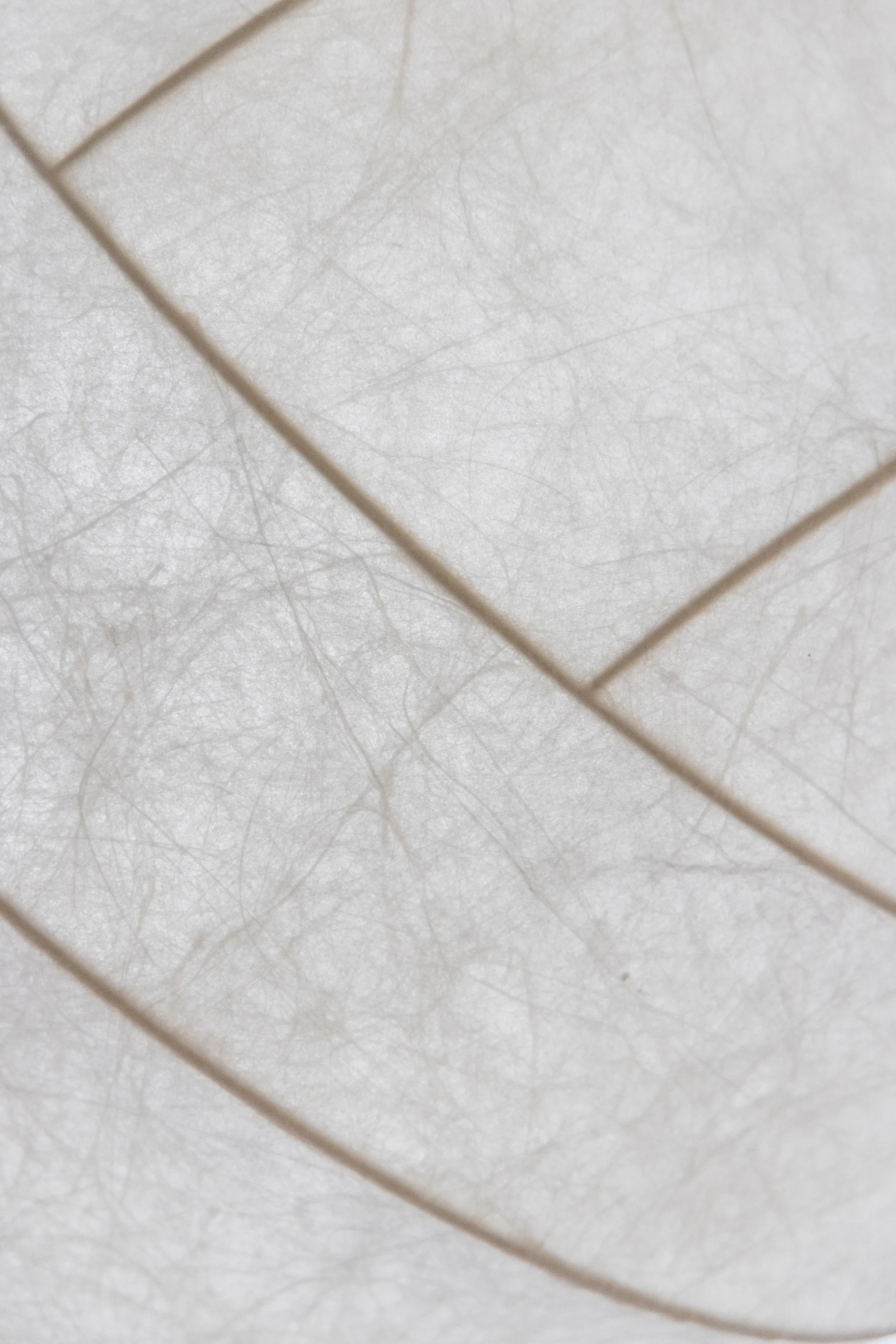 Turner 80 pendel, Hvid Pholc