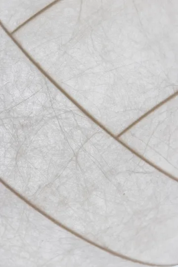 Turner 80 pendel - Hvid - Pholc