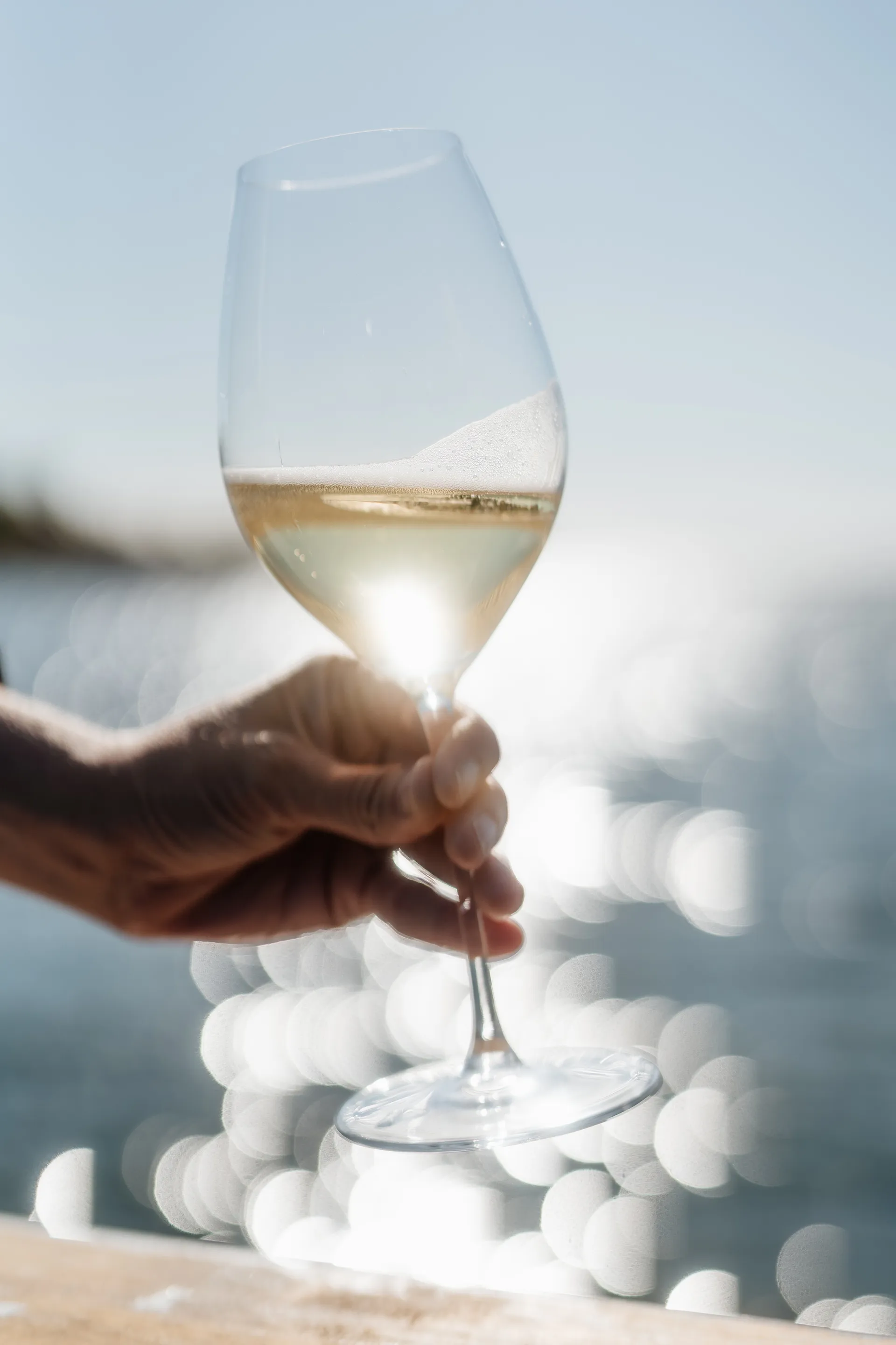 Veritas champagneglas 45,9 cl, 270-årsjubilæum, 2-pak Riedel
