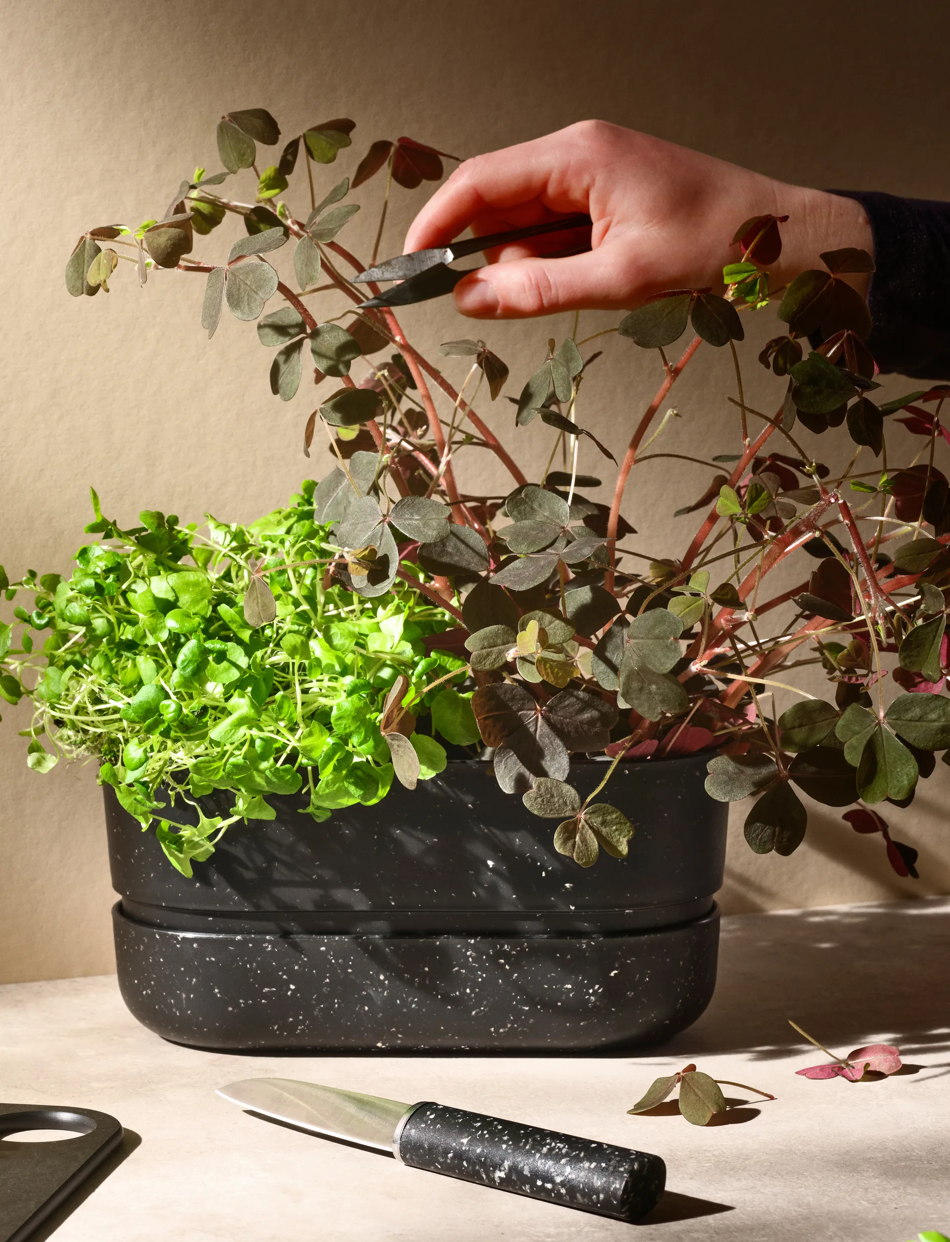 POT-IT urtekrukke 22,2 cm, Black RIG-TIG