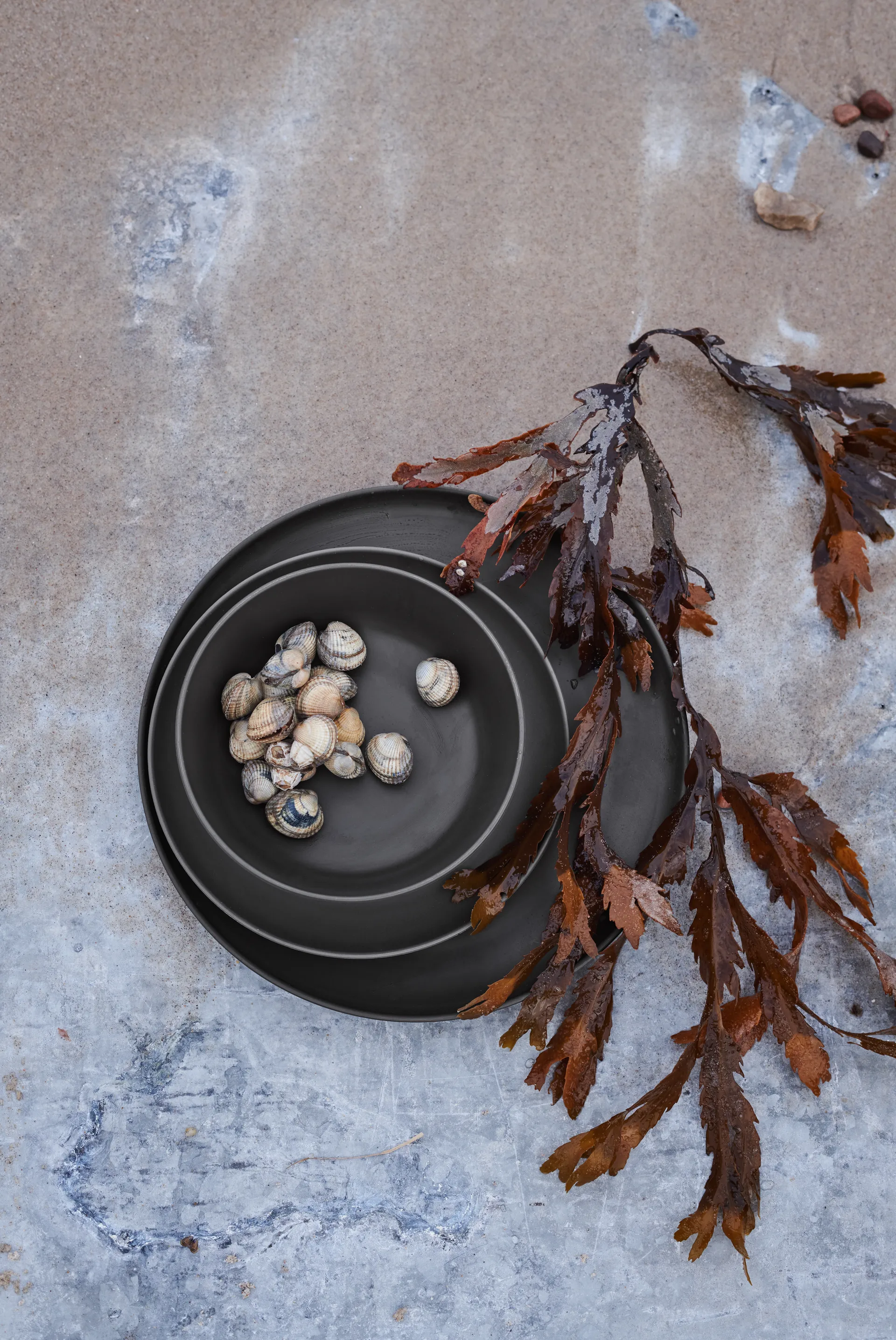 Grand Cru Take melamintallerken Ø26 cm 2-pak, Grå Rosendahl