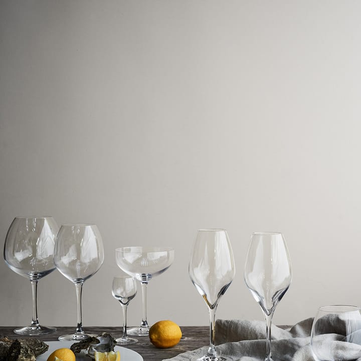 Premium champagneglas 37 cl 2-pak, Klar Rosendahl