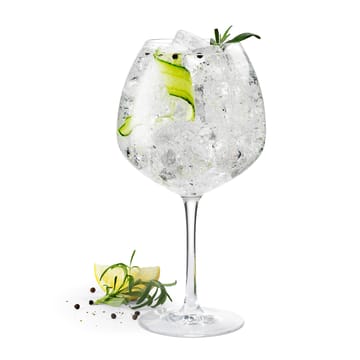 Premium ginglas 93 cl 2-pak - Klar - Rosendahl