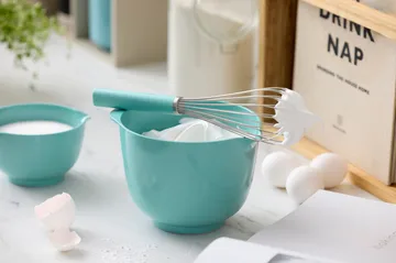 Emma ballonpisker stål 27 cm - Nordic green - Rosti