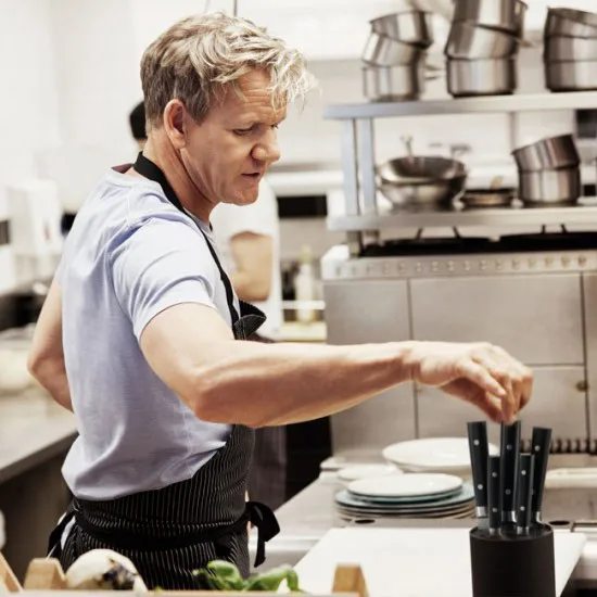 Gordon Ramsey knivblok, 5 dele Royal Doulton