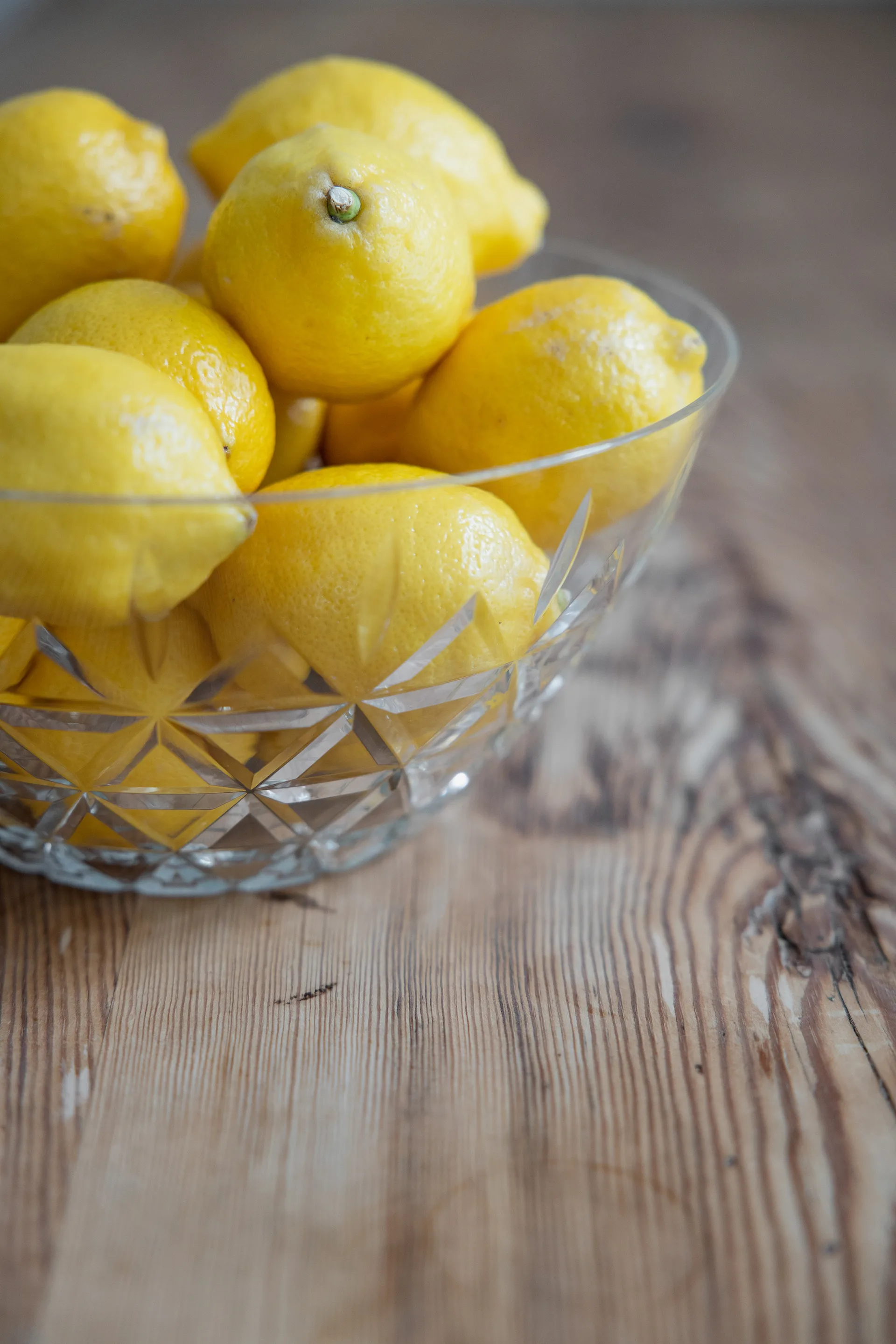 Picknick skål Ø26 cm , Klar Sagaform