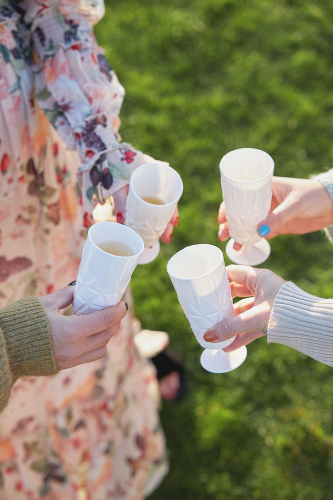 Picnic champagneglas, pakke med fire styk, Hvid Sagaform