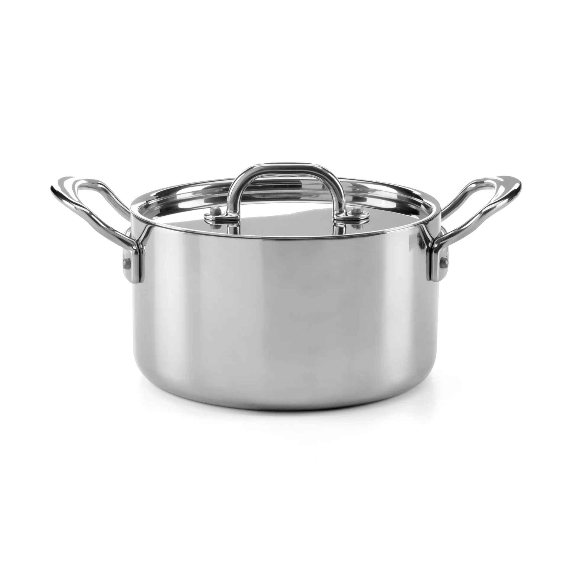 Samuel Groves gryde med låg rustfrit stål, 5 L Samuel Groves