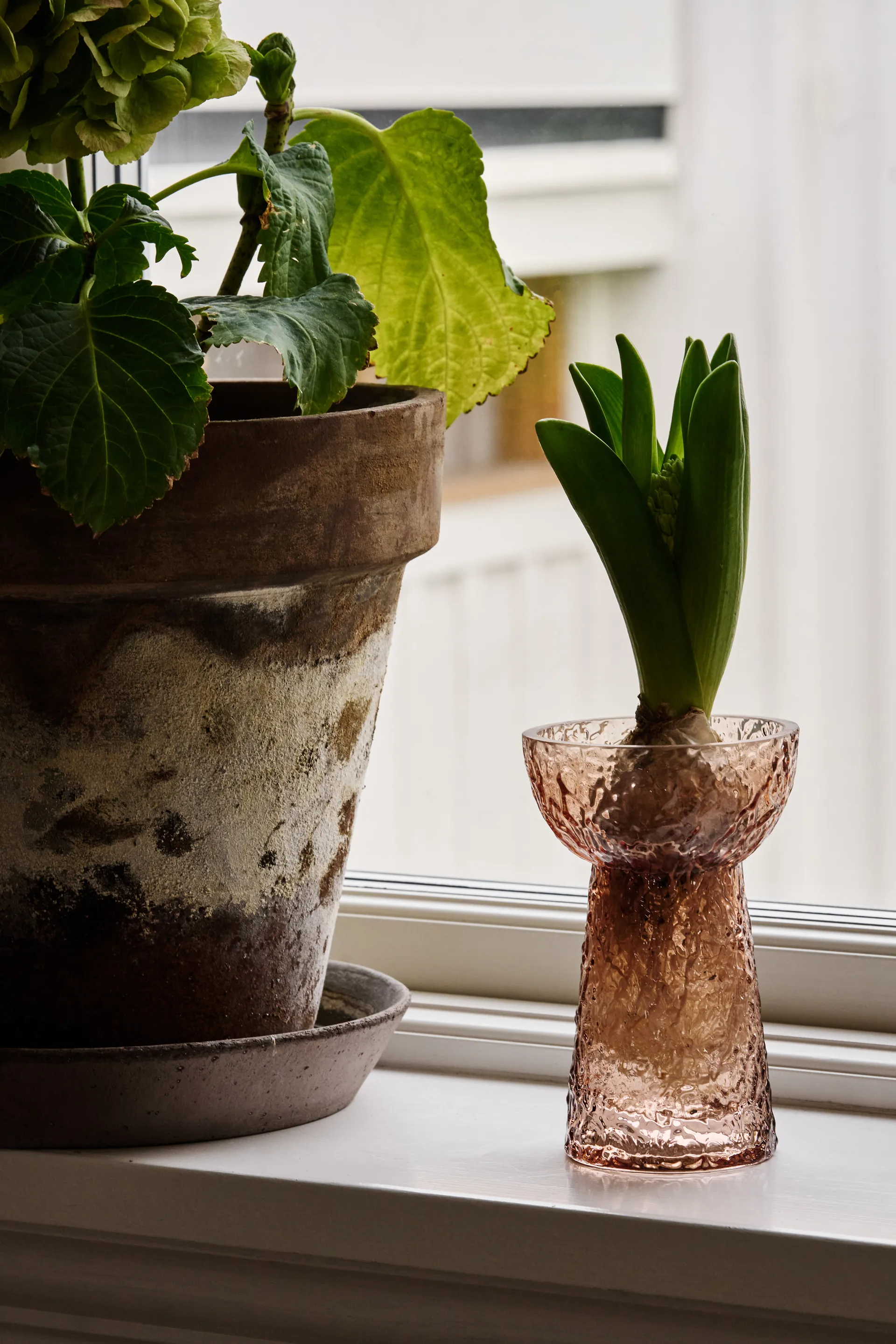Flor hyacintvase, Brun Scandi Living