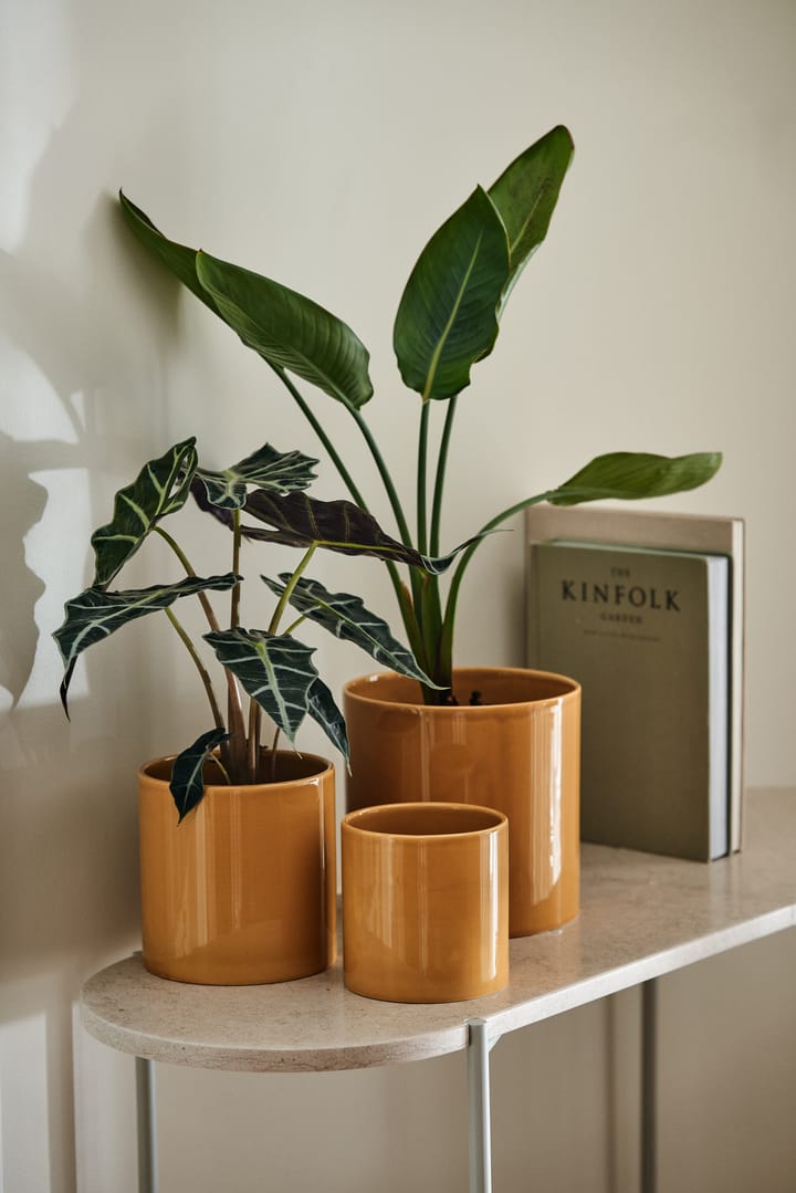 Sleek krukke Ø12 cm - Mustard - Scandi Living