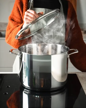 Scanpan STS gryde med låg - Høj, 15 L - Scanpan