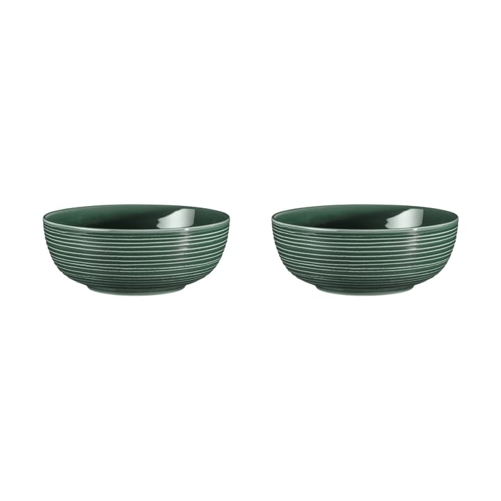 Terra skål Ø20,4 cm 2-pak - Moss Green - Seltmann Weiden