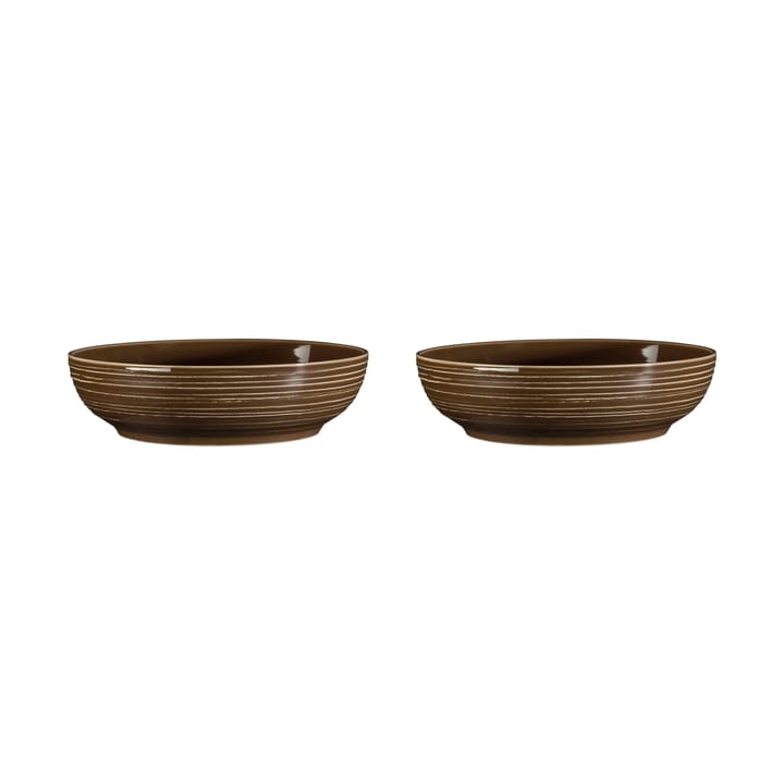 Terra skål Ø25,5 cm 2-pak - Earth Brown - Seltmann Weiden