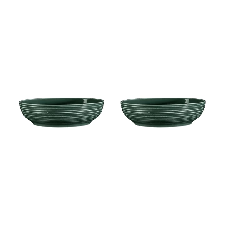 Terra skål Ø25,5 cm 2-pak - Moss Green - Seltmann Weiden