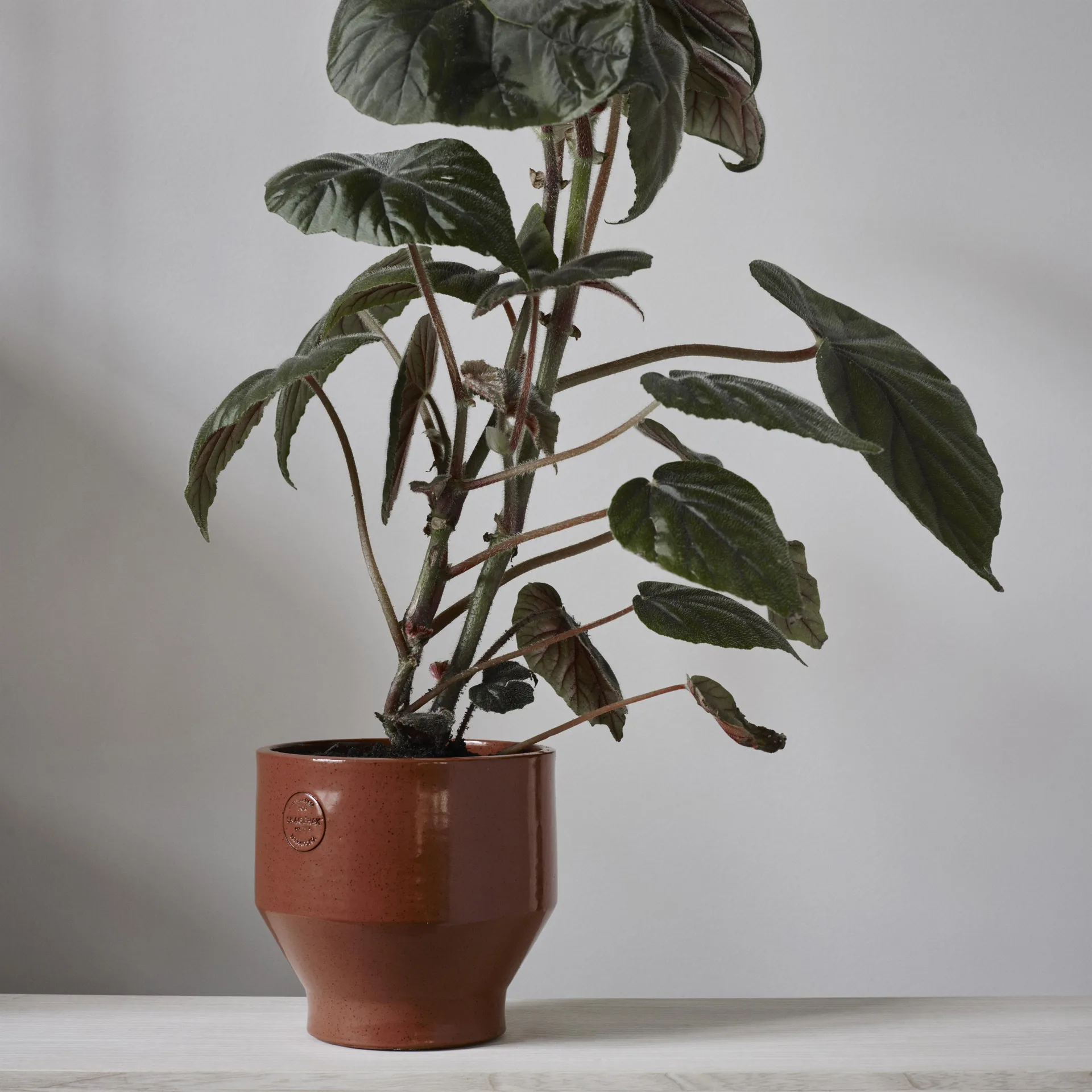 Edge urtepotte (indendørs) Ø15 cm, burned red (rød) Skagerak