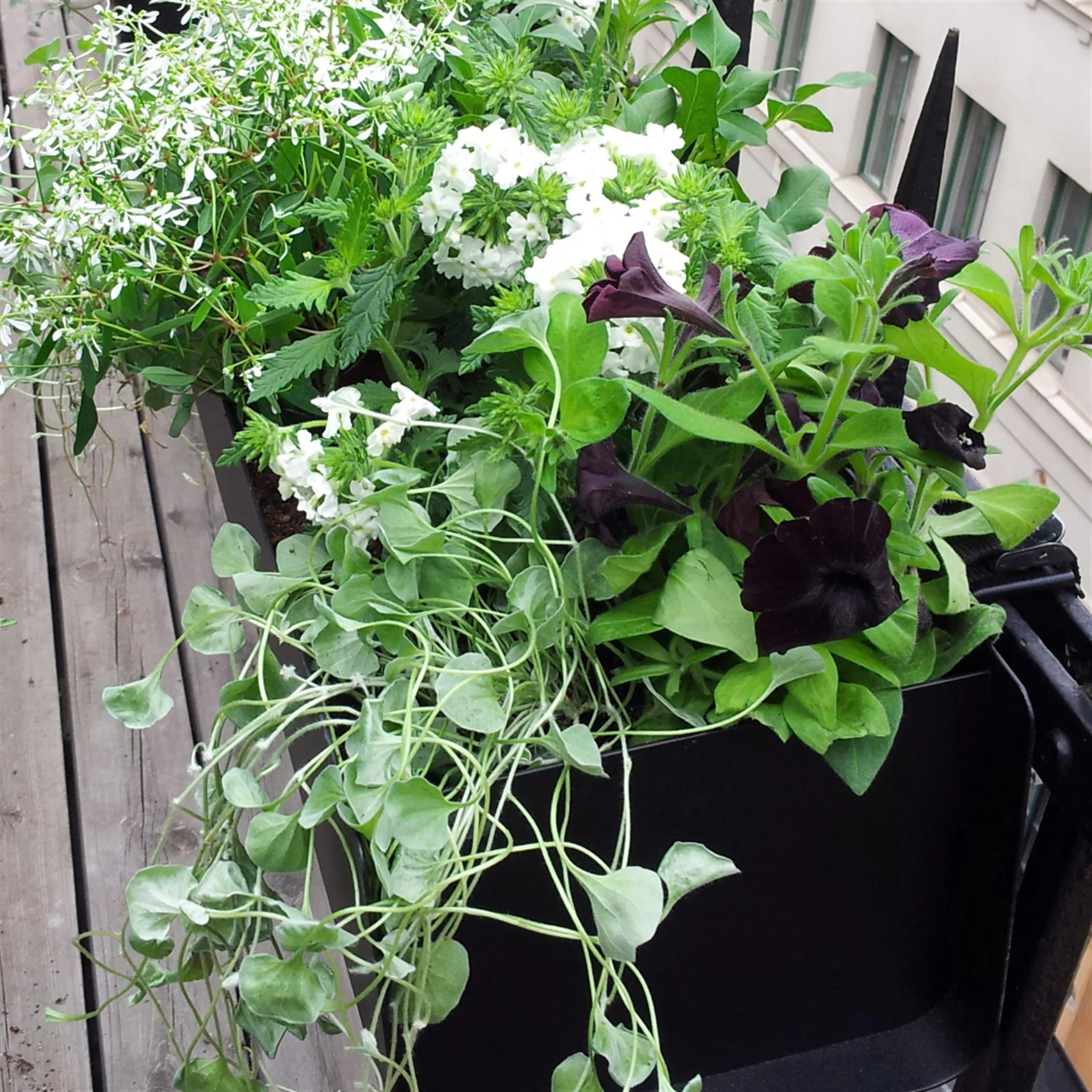 Jorda altankasse, Sort 60 cm SMD Design