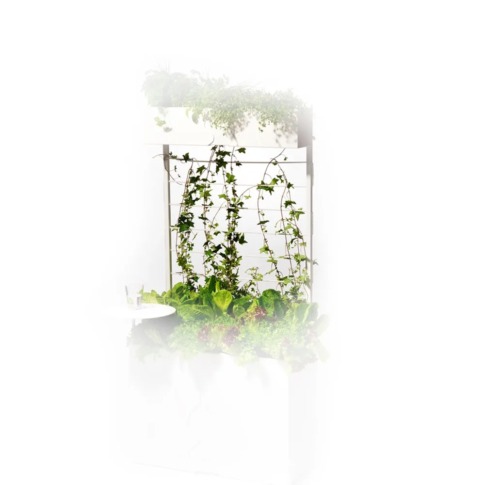 Urban espalier, Hvid SMD Design