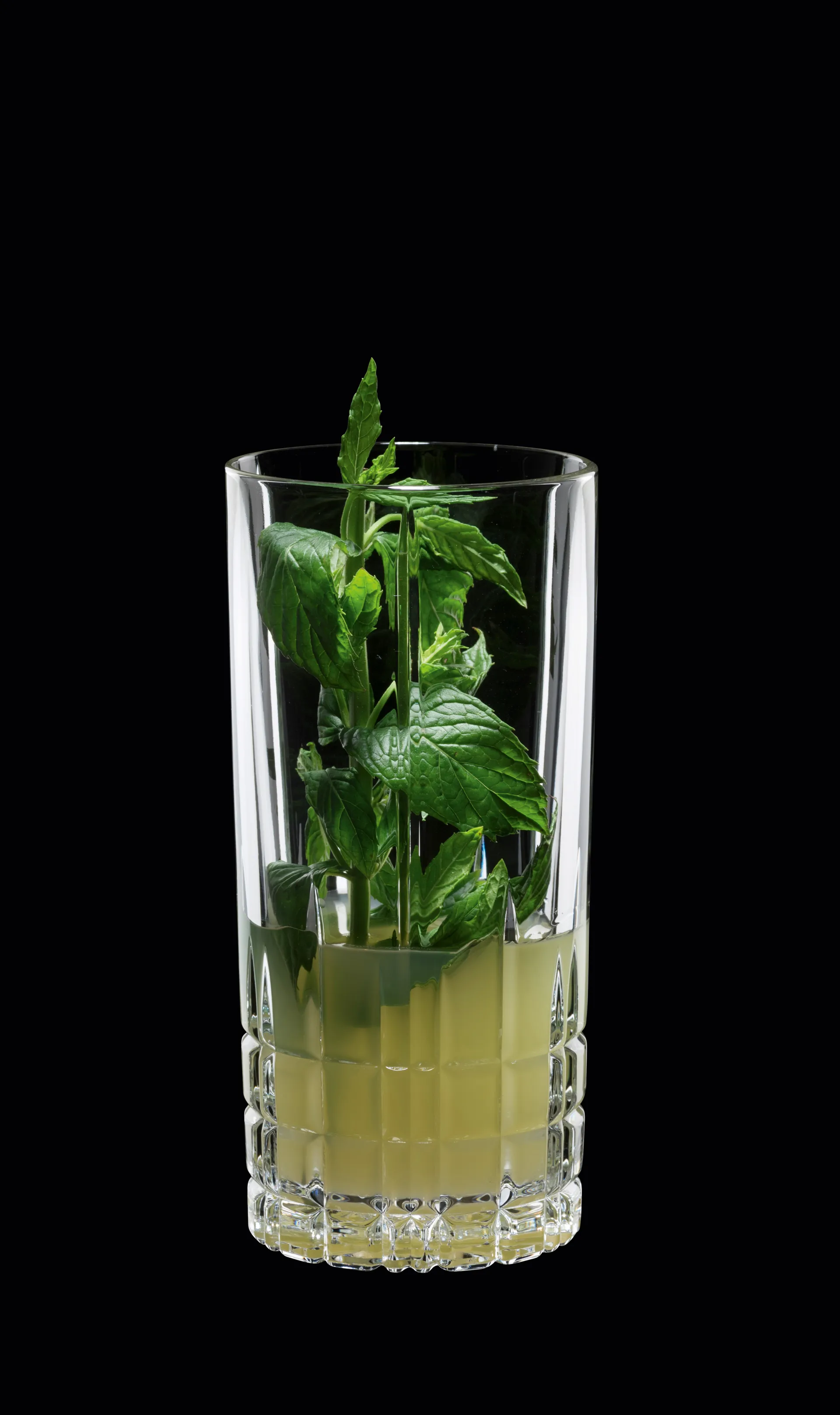 Perfect Serve longdrinkglas – 35 cl – 4 stk., klar Spiegelau