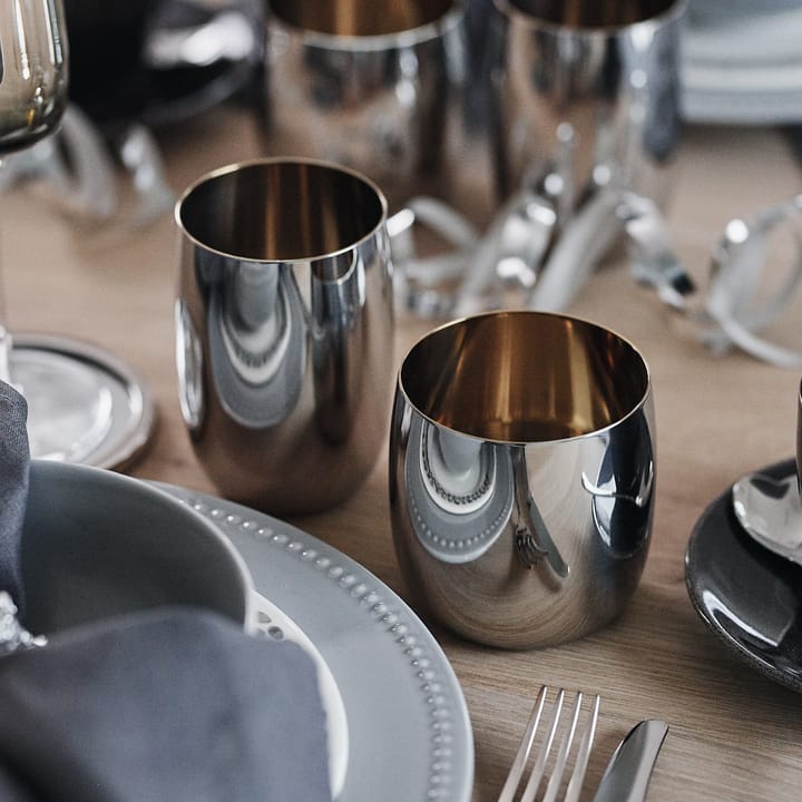 Foster drikkeglas 20 cl, Rustfrit stål Stelton