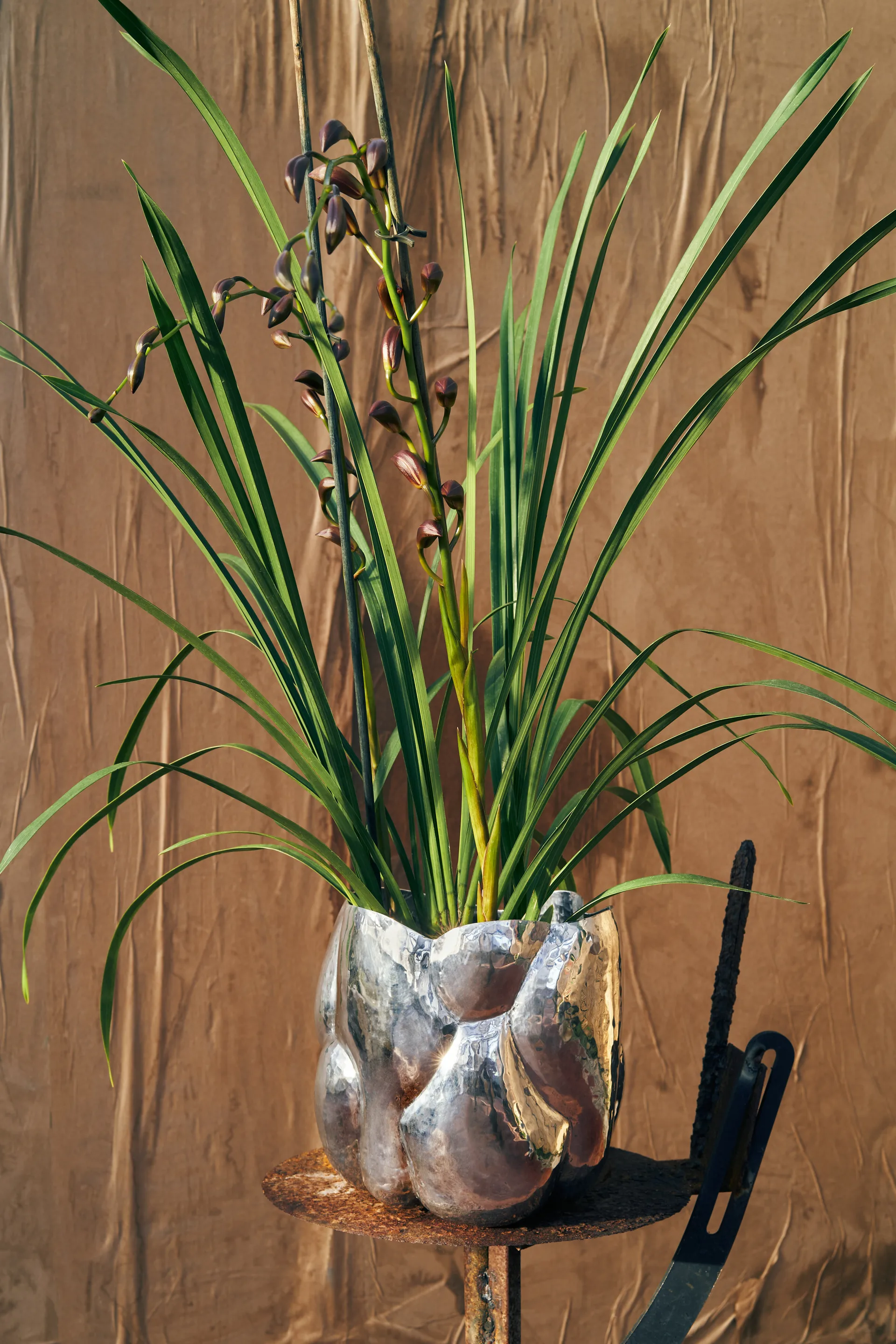 Cloud vase lav, Silver Tom Dixon