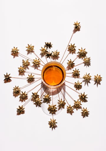 Tank whiskyglas 30 cl 2-pak - Clear-copper - Tom Dixon