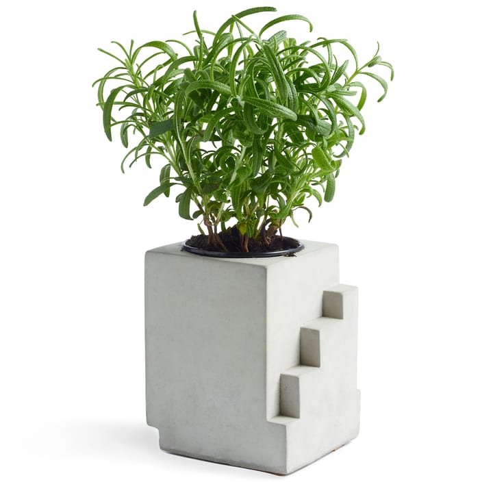 Max 1 betonkrukke, Grey Tove Adman
