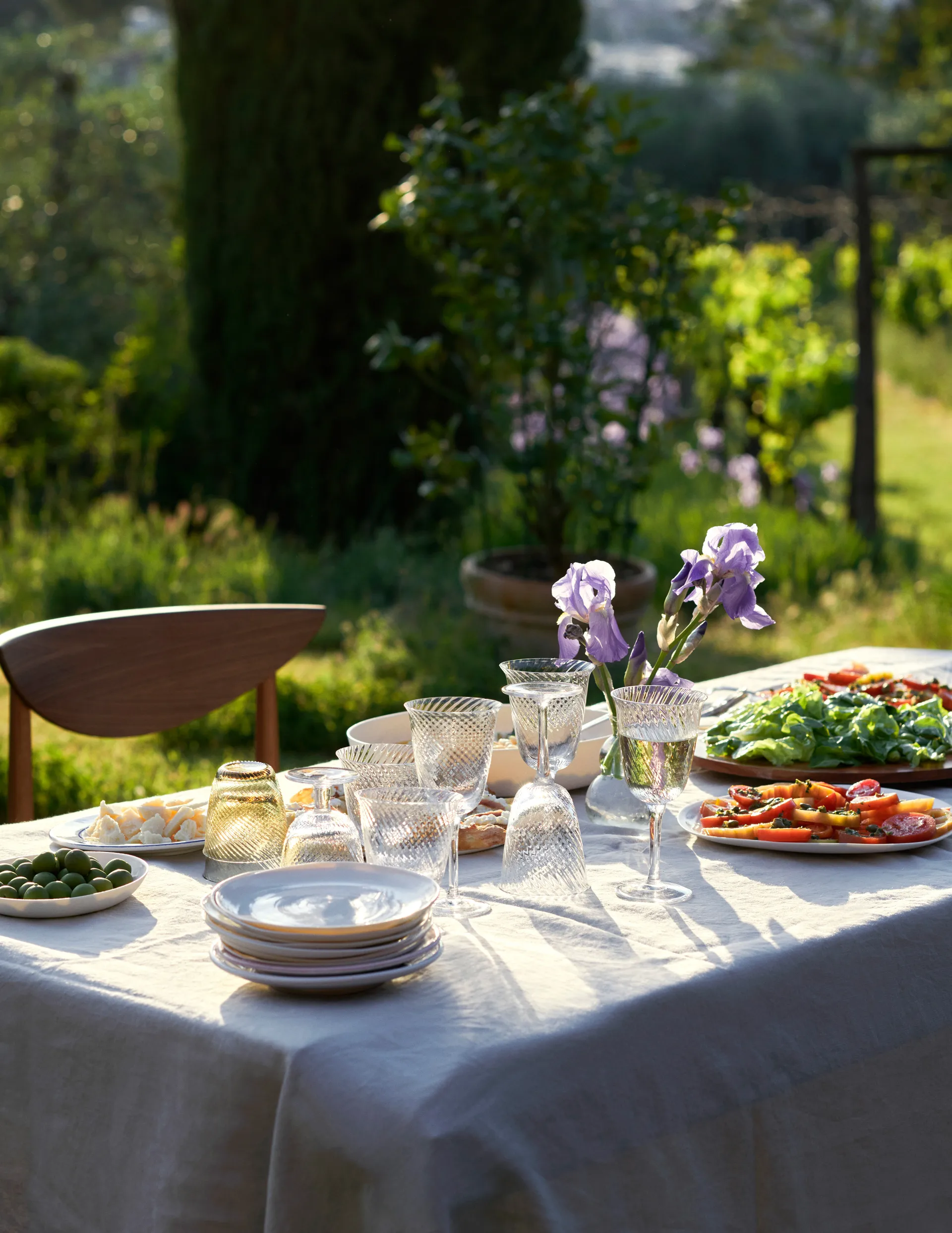 Collect SC80 vinglas 2-pak, Clear &Tradition