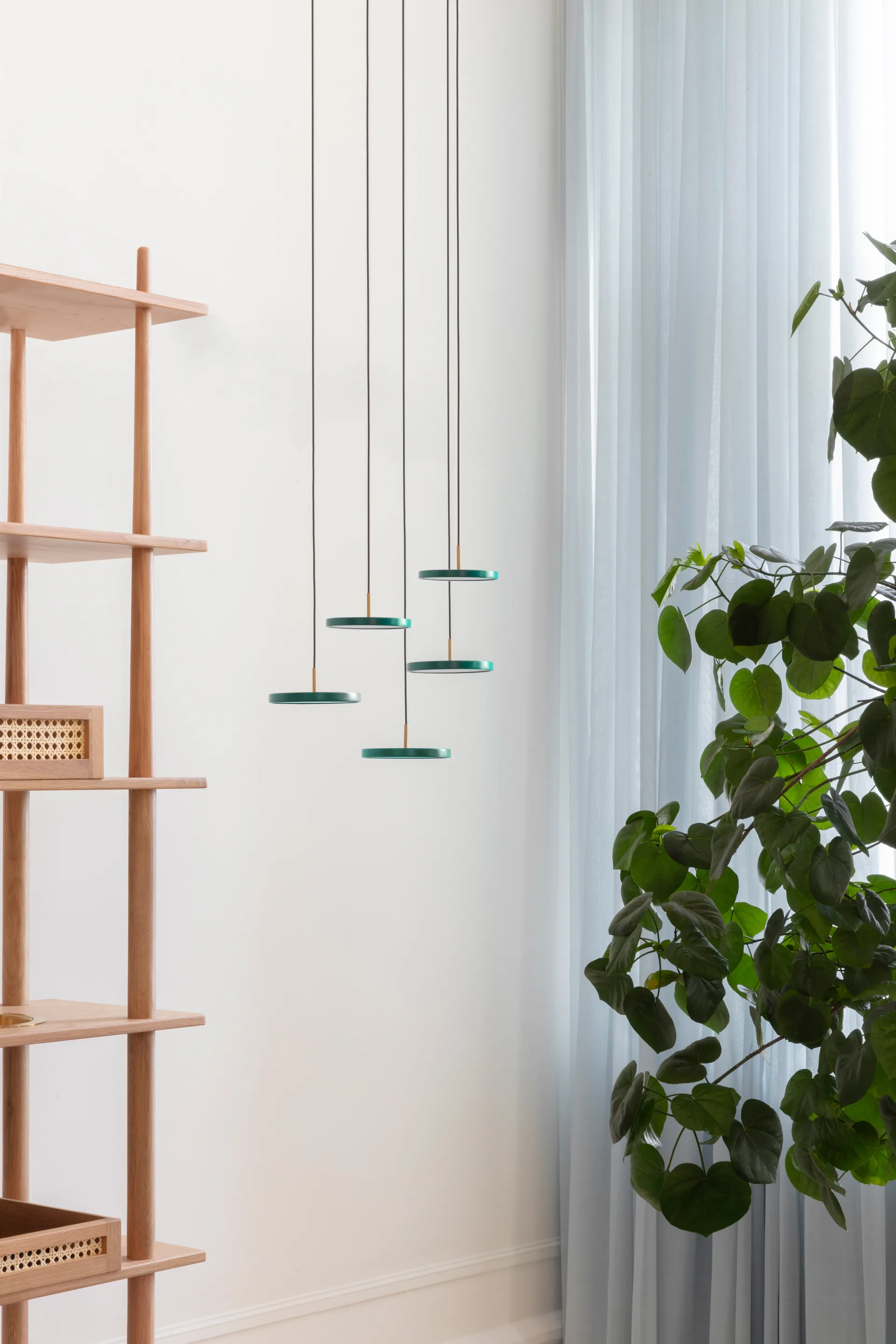 Asteria Micro loftslampe, Forest Green Umage