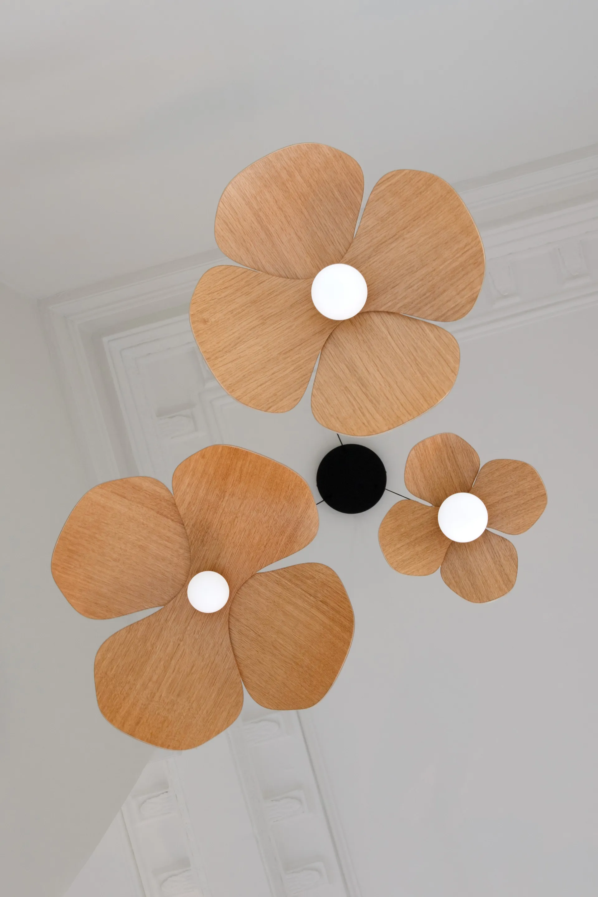 Forget Me Not pendel medium, Eg-cluster 5 Umage