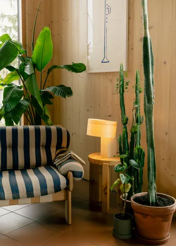 018 Hoop Table Lamp bordlampe - Mat olievokset fyrretræ, 23 cm - Vaarnii